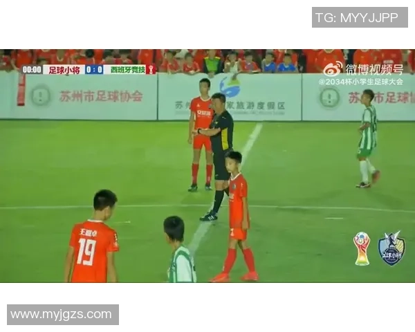 凤仙足球明星的崛起与成就揭秘，谁是当今最耀眼的球场之星